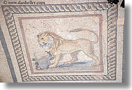images/Europe/Turkey/Ephesus/lion-mosaic.jpg