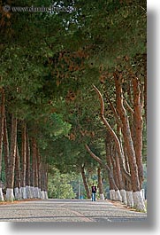 images/Europe/Turkey/Ephesus/tree-lined-road-3.jpg