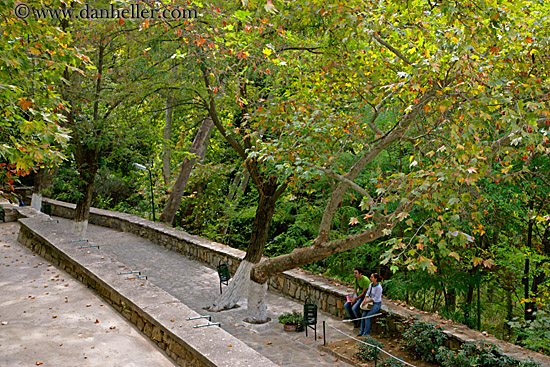 couple-sitting-in-forest.jpg