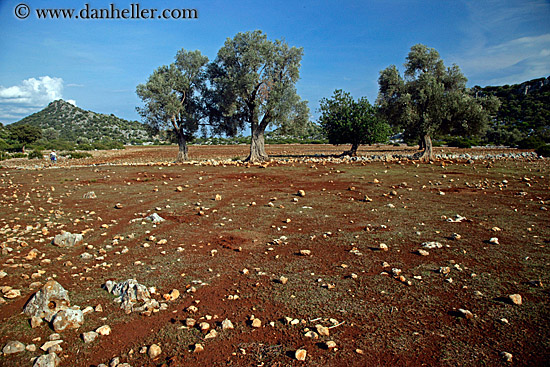 red-dirt-field-2.jpg