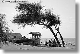 images/Europe/Turkey/Kalkan/leaning-tree-on-beach-bw.jpg