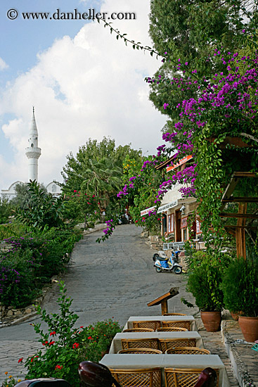 road-to-minaret.jpg