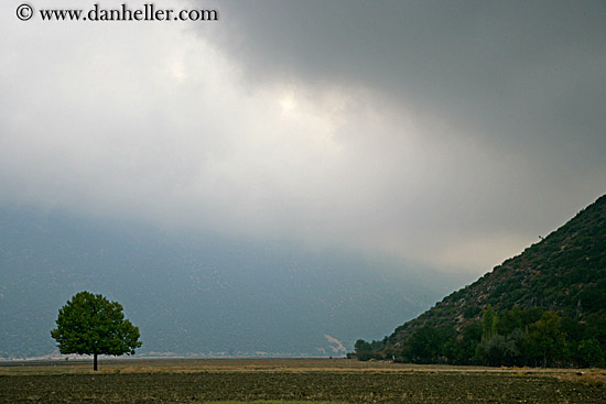 tree-n-cloud-2.jpg