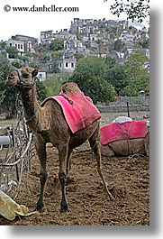 images/Europe/Turkey/KayaKoy/camel-n-village-2.jpg