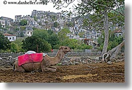 images/Europe/Turkey/KayaKoy/camel-n-village-3.jpg
