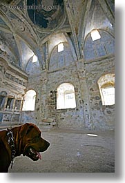 images/Europe/Turkey/KayaKoy/dog-in-church-ruin.jpg