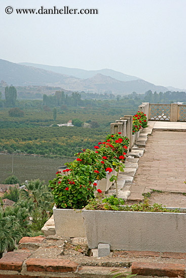 terrace-garden-1.jpg