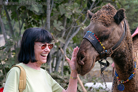 beryl-n-camel-1.jpg