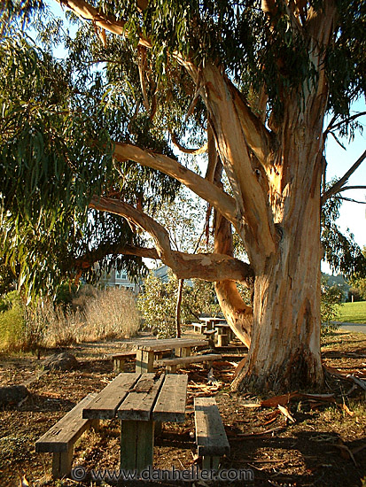 A201-picnic-table-2.jpg