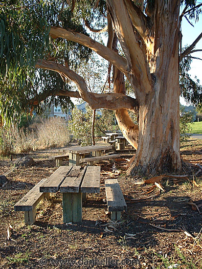 picnic-table.jpg