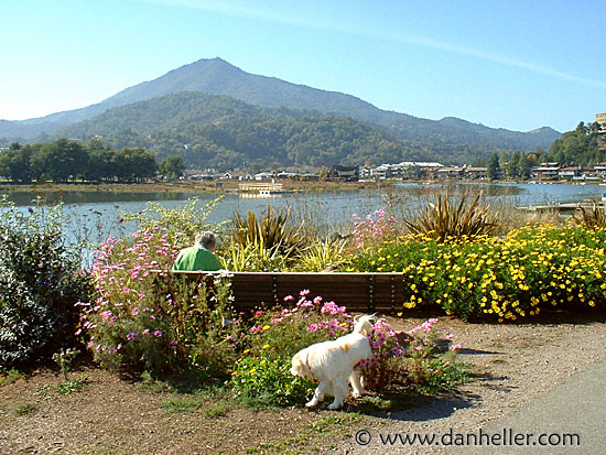 flower-sniffing.jpg