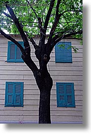 argentina, buenos aires, la boca, latin america, painted town, trees, vertical, windows, photograph