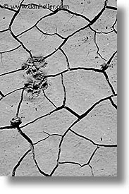 images/LatinAmerica/Argentina/Iguazu/Misc/cracked-mud-bw.jpg