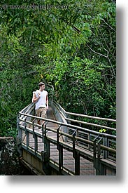 images/LatinAmerica/Argentina/Iguazu/Misc/jungle-path-2.jpg