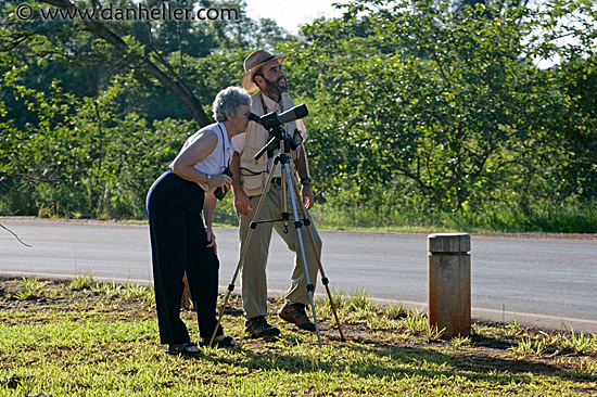 bird-watchers-1.jpg