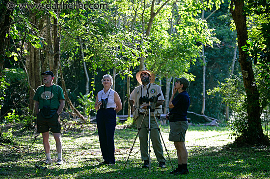 bird-watchers-3.jpg