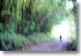 images/LatinAmerica/CostaRica/Misc/abstract-tree-tunnel.jpg