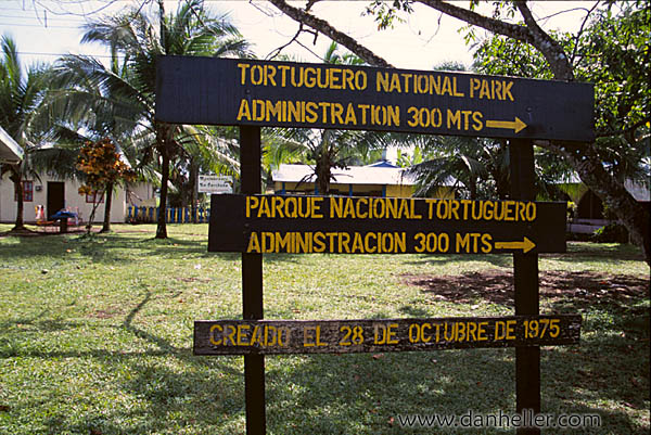 tortuguero-02.jpg