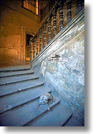 images/LatinAmerica/Cuba/Artsie/stairs-a.jpg