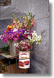 images/LatinAmerica/Cuba/Flowers/flowers-d.jpg