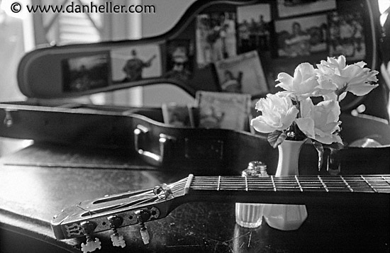 guitar-n-roses-bw.jpg