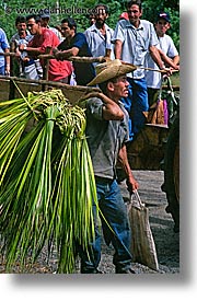 images/LatinAmerica/Cuba/People/Men/sugarcane-farmer.jpg