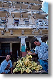 images/LatinAmerica/Cuba/Vedado/picking-bananas.jpg