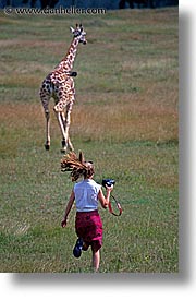 images/LatinAmerica/Cuba/Zoo/giraffe-1.jpg