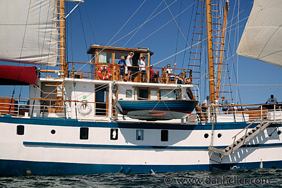 sails-up-08.jpg