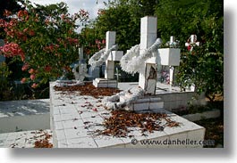 images/LatinAmerica/Ecuador/Galapagos/Misc/graves-1.jpg