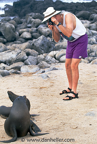 seal-photo.jpg