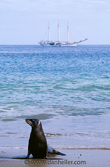 sea_lion-boat-2.jpg