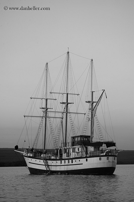 sagitta-bw-1.jpg