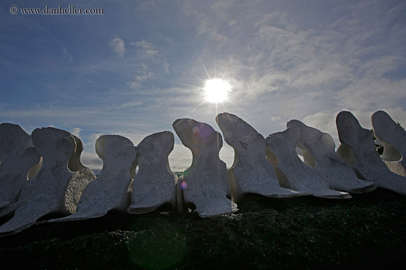 whale-bones-06.jpg