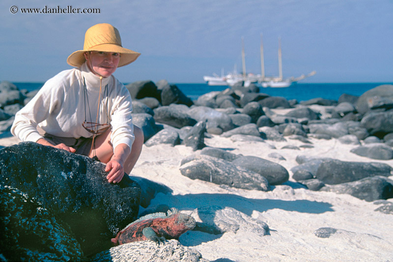 colorful-marine-iguana-n-ppl-02.jpg