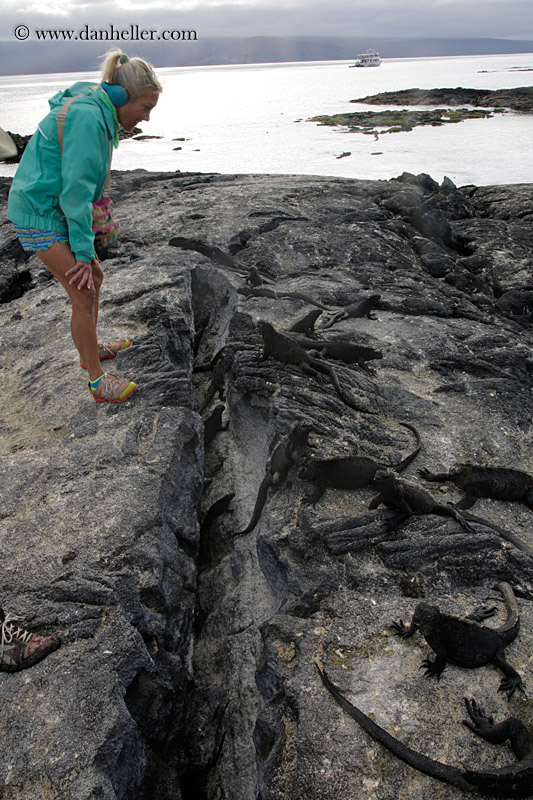 marine-iguana-n-ppl-03.jpg