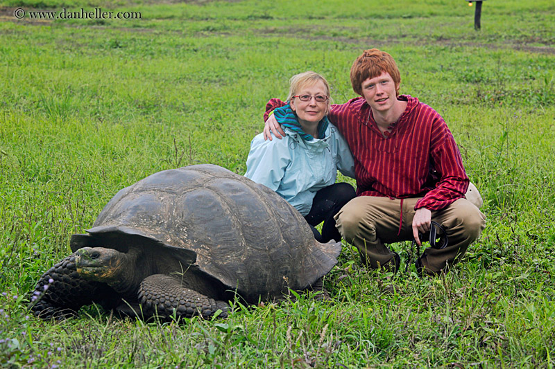 family-n-tortoise-01.jpg