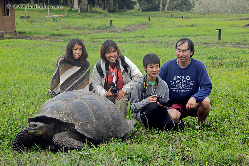 family-n-tortoise-02.jpg