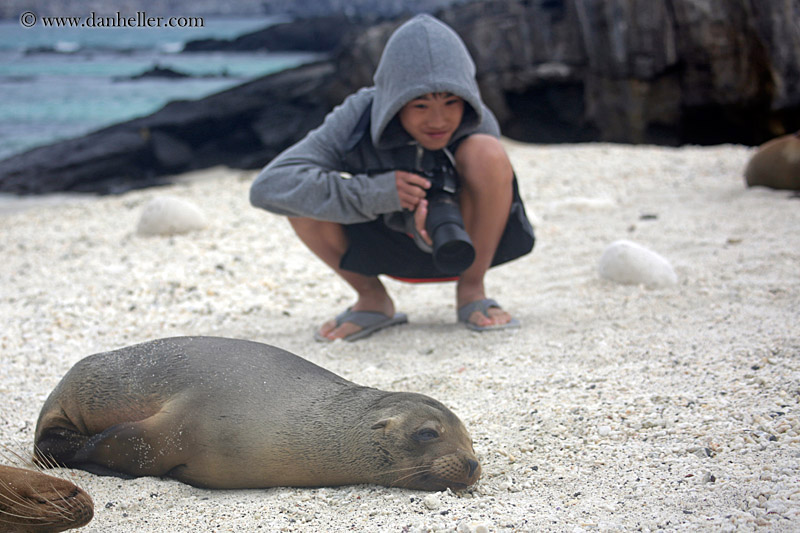 tony-camera-sea_lion-02.jpg