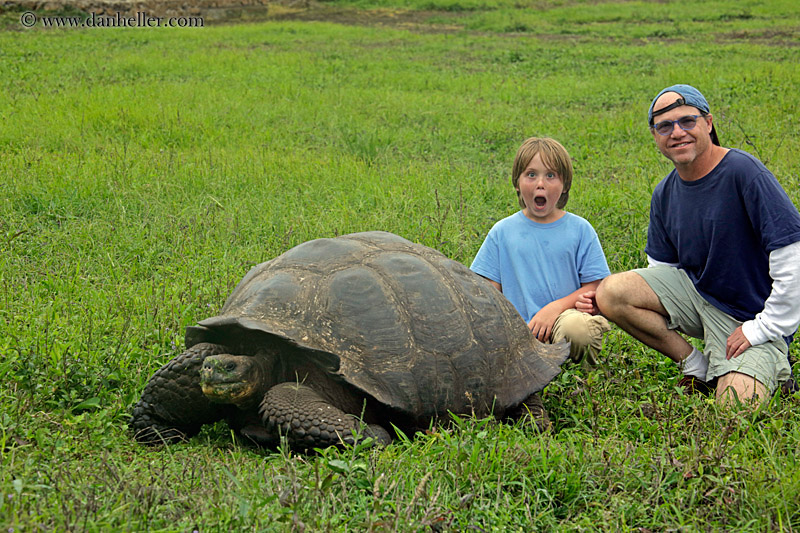 jack-n-dan-w-tortoise.jpg