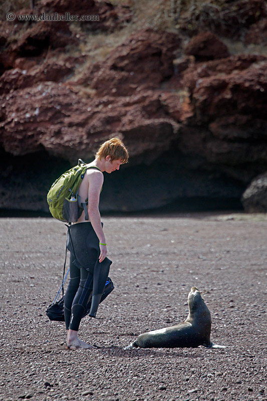 ryan-n-baby-sea_lion.jpg