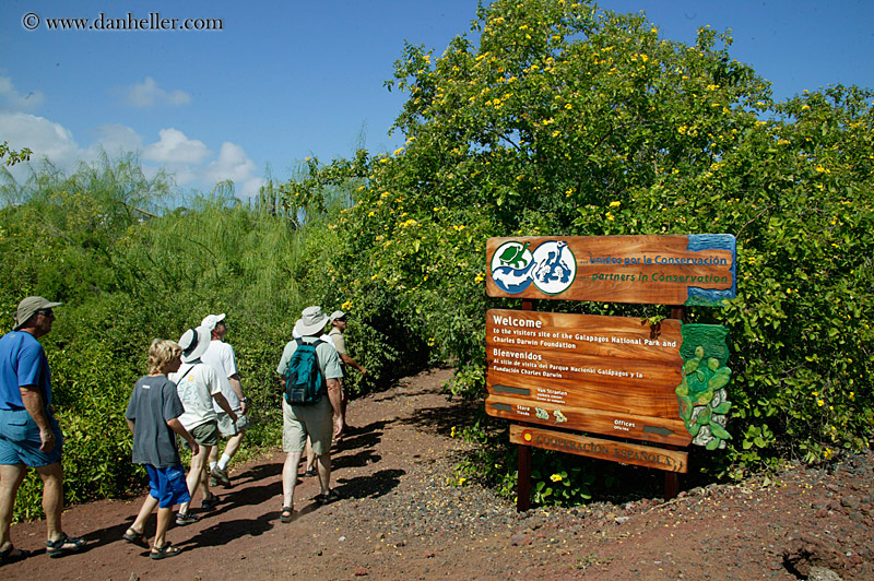 group-hike.jpg