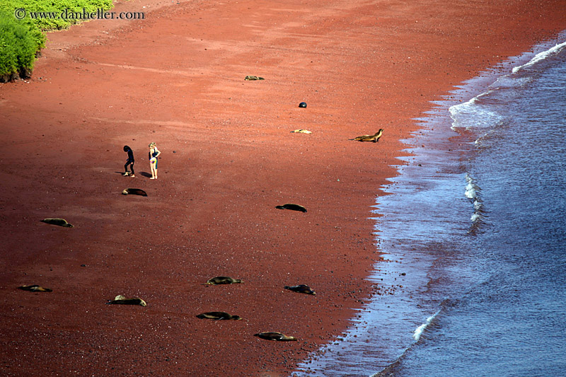 rabida-red-sand-beach-aerial-02.jpg