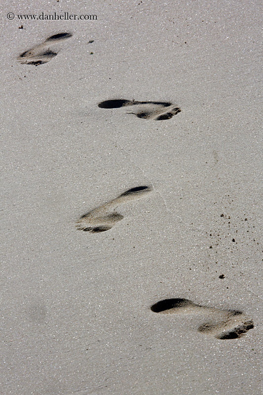 footprints-in-sand-03.jpg