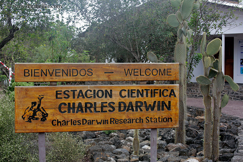 darwin-center-sign.jpg