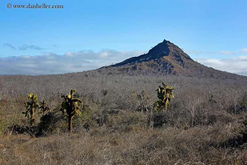 cerro-montura-06.jpg