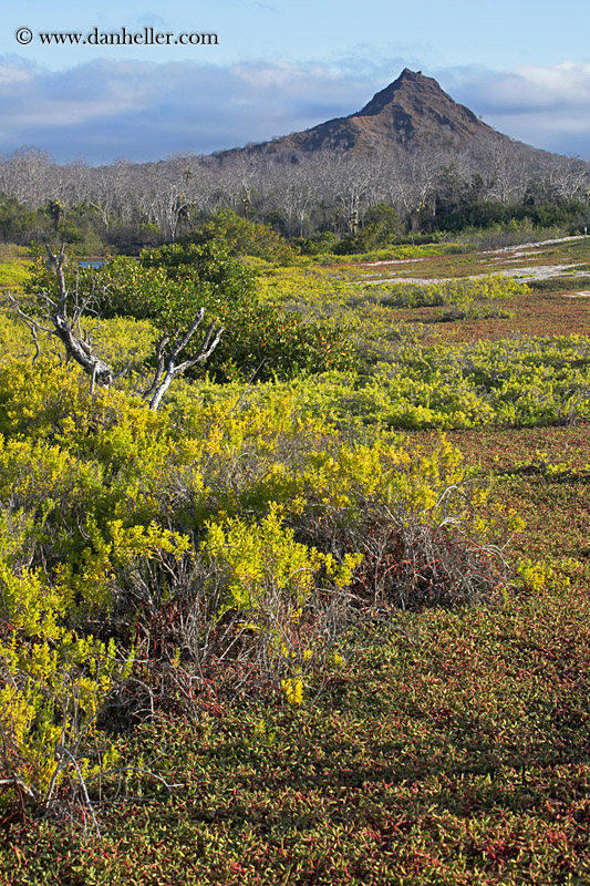 cerro-montura-10.jpg