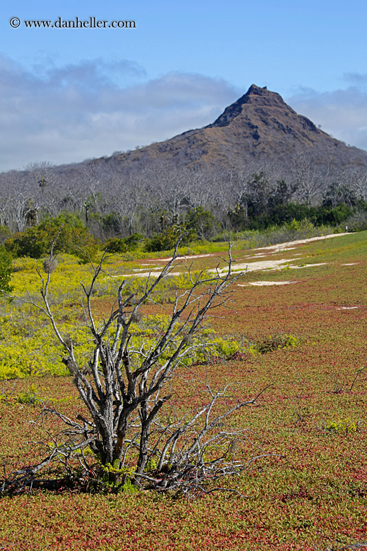 cerro-montura-11.jpg