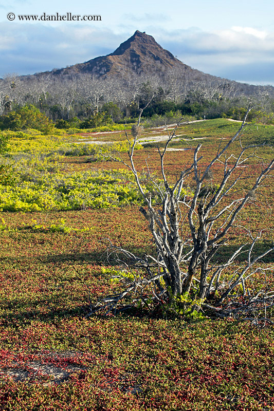 cerro-montura-12.jpg