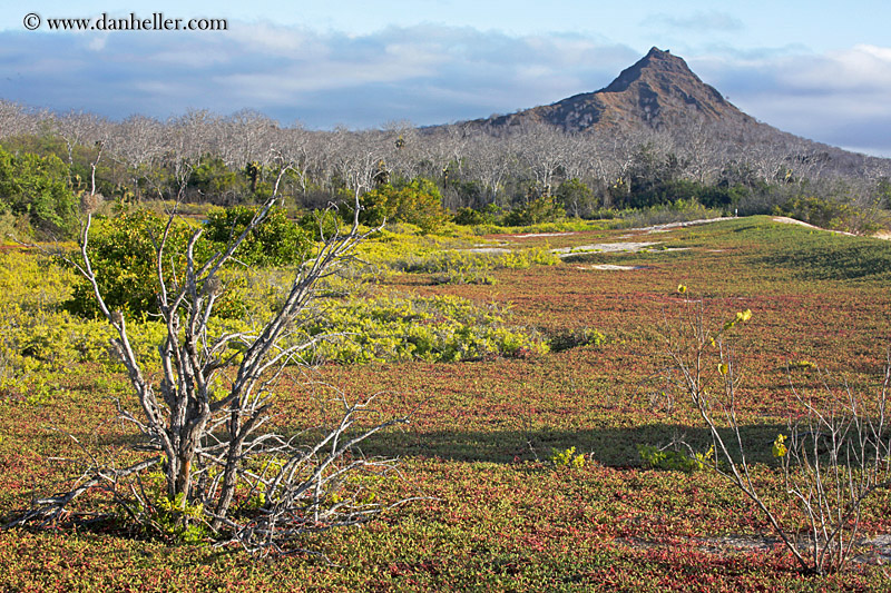 cerro-montura-14.jpg